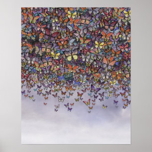 Schmetterlingposter Poster