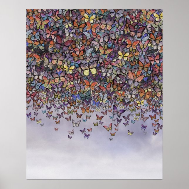 Schmetterlingposter Poster (Vorne)