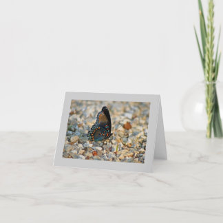 Schmetterlings-Beileids-Karte Karte