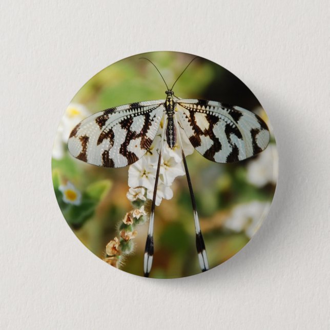 Schmetterlings-Blumen-Blüten-Polterabend-Frieden Button (Vorderseite)