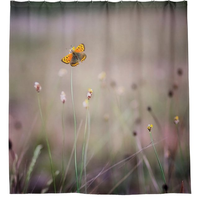 Schmetterlings-Duschvorhang Duschvorhang (Vorderseite)