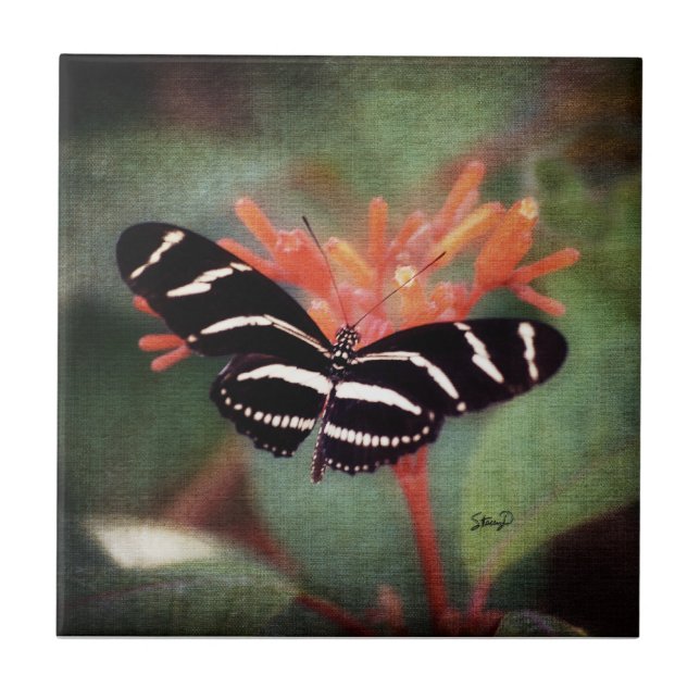 Schmetterlings-Fliese Fliese (Vorderseite)