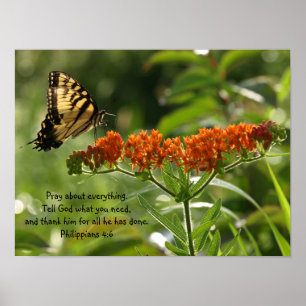 Schmetterlings-Fotophilippians-Bibel-Versplakat Poster
