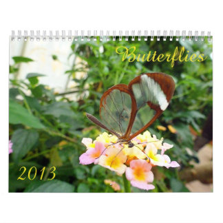 Schmetterlings-Kalender 2013 Kalender