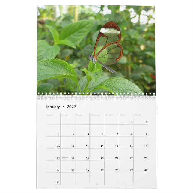Schmetterlings-Kalender 2013 Kalender (Jan 2027)