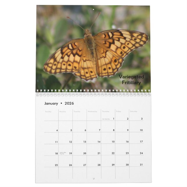 Schmetterlings-Kalender 2014 Kalender (Jan 2026)