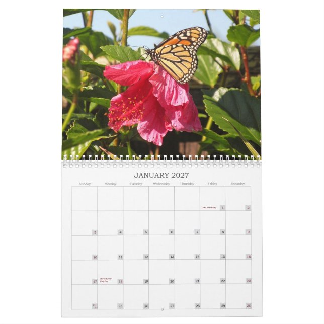 Schmetterlings-Kalender 2014 Kalender (Jan 2027)