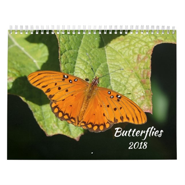 Schmetterlings-Kalender 2018 Kalender (Titelbild)