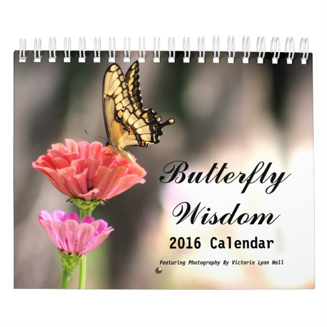 Schmetterlings-Klugheit 2016 Kalender (Titelbild)