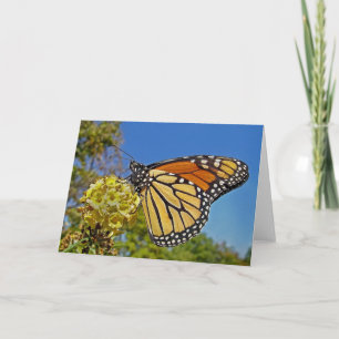 Schmetterlings-Monarch-Karte Karte