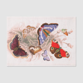 Schmetterlings-Seidenpapier Seidenpapier