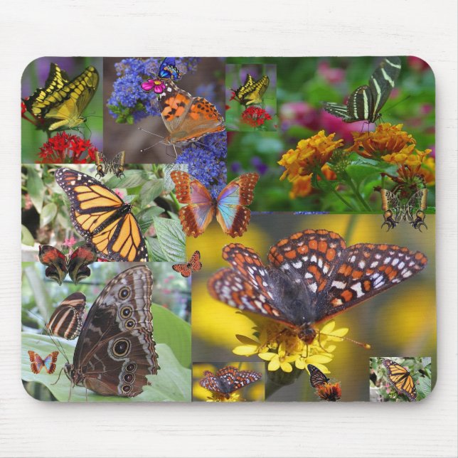 SCHMETTERLINGS-STEPPDECKE! Mousepad (Vorne)