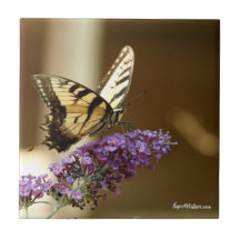 Schmetterlingsdekoration