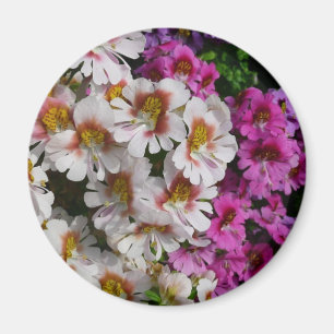 Schmetterlingsfliege Blume Weißrosa und Lila Magnet