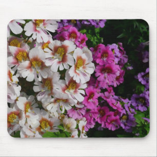 Schmetterlingsfliege Blume Weißrosa und Lila Mousepad