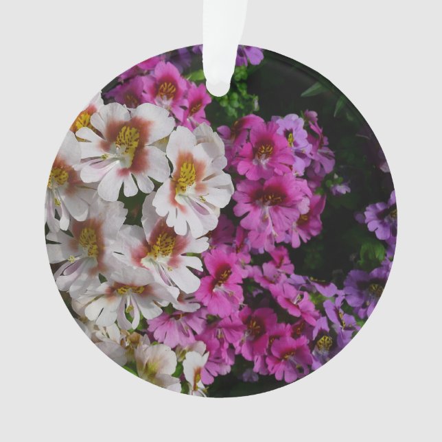 Schmetterlingsfliege Blume Weißrosa und Lila Ornament (Vorderseite)