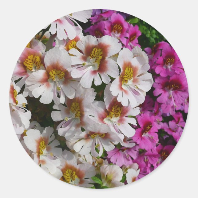 Schmetterlingsfliege Blume Weißrosa und Lila Runder Aufkleber (Vorderseite)