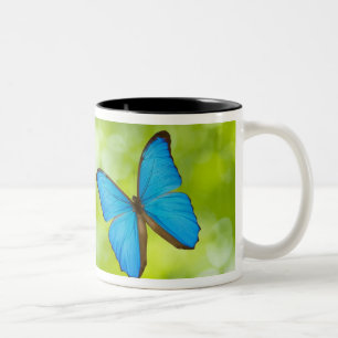 Schmetterlingsfliegen Zweifarbige Tasse