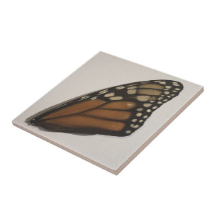 Schmetterlingsflügel auf Papier Fliese