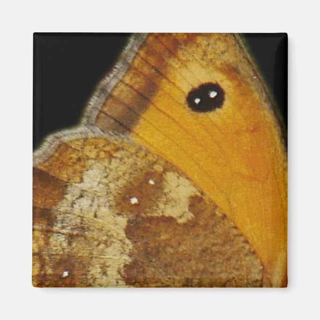 Schmetterlingsflügel Magnet (Vorne)