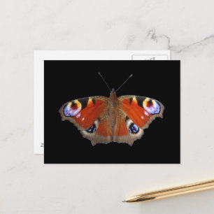Schmetterlingsflügel Postkarte