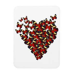 Schmetterlingsherz Magnet