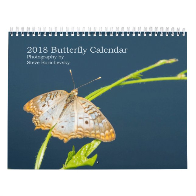 Schmetterlingskalender 2018 kalender (Titelbild)