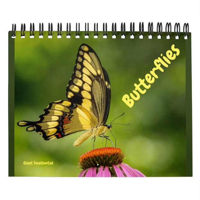 Schmetterlingskalender Kalender (Titelbild)