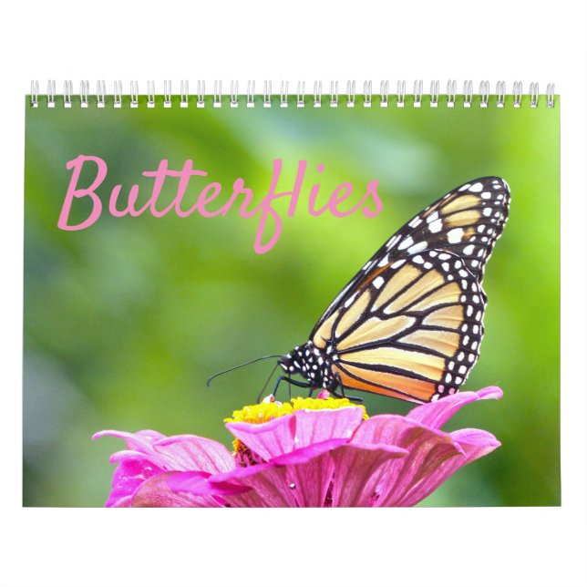 Schmetterlingskalender Kalender (Titelbild)