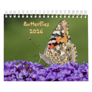 Schmetterlingskalender Kalender
