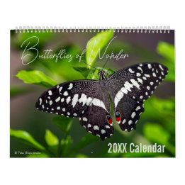 Schmetterlingskalender Wählen Sie Ihren Startmonat Kalender