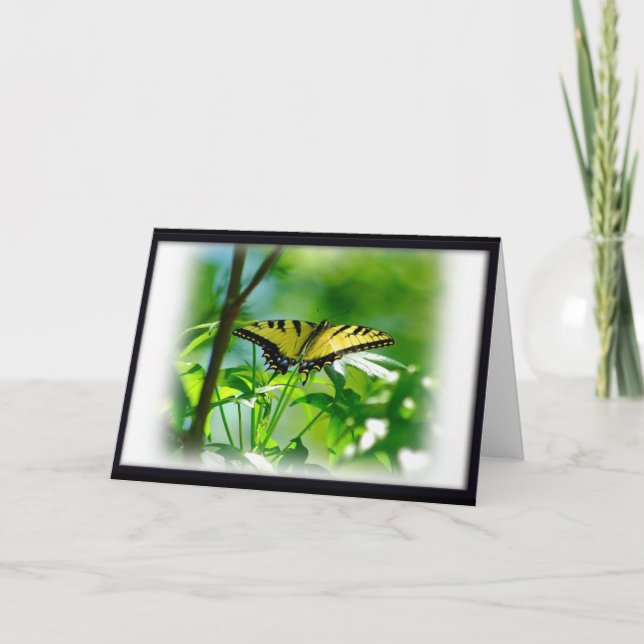 Schmetterlingskarte Karte (Vorderseite)