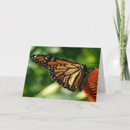 Schmetterlingskarte Karte