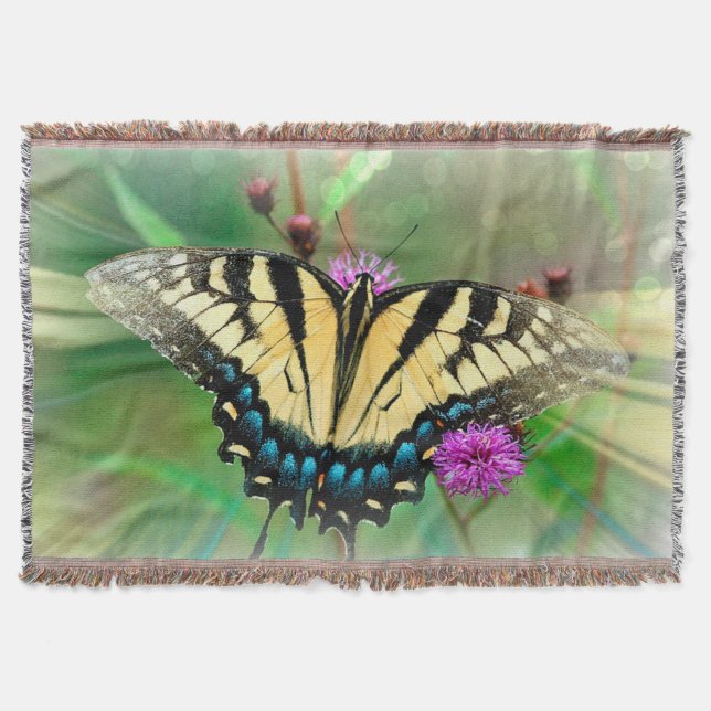 Schmetterlingskeule Decke (Vorderseite)