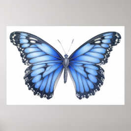 Schmetterlingskizze Poster