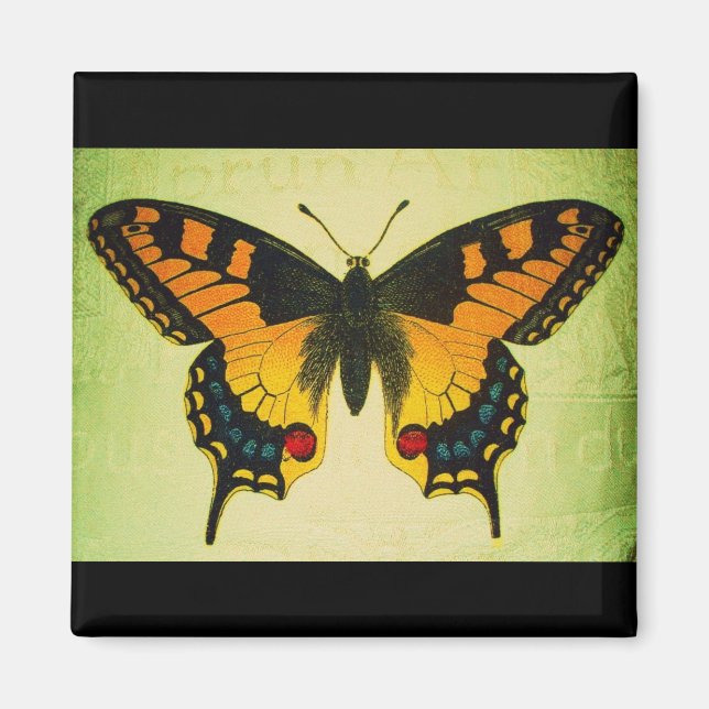 Schmetterlingsmagnet Magnet (Vorne)