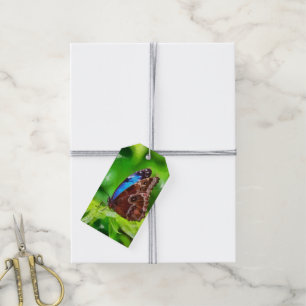 Schmetterlingsmalerei Geschenkanhänger