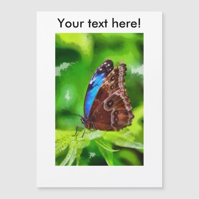 Schmetterlingsmalerei Magnetkarte (Vorderseite)