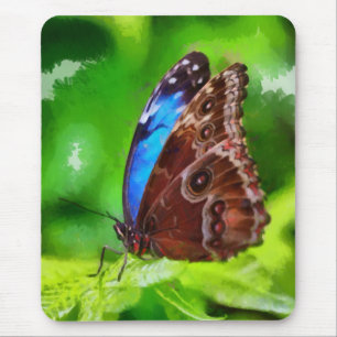 Schmetterlingsmalerei Mousepad