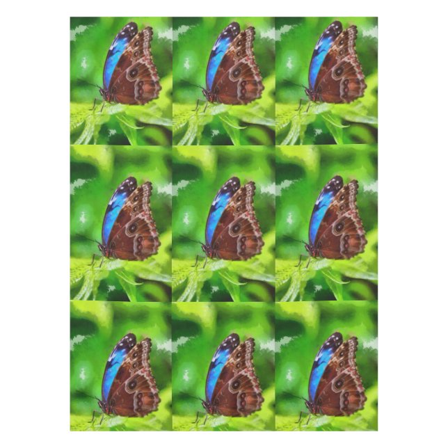 Schmetterlingsmalerei Tischdecke (Vorderseite)