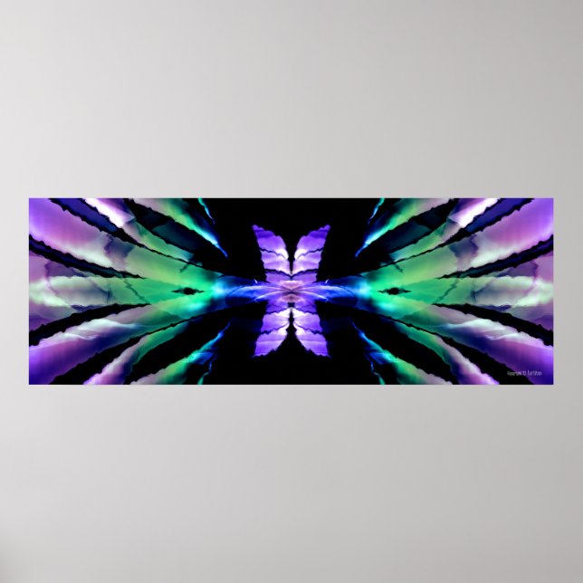 Schmetterlingsmosse Poster (Vorne)