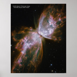 Schmetterlingsnebel (NGC 6302) Poster