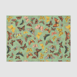 Schmetterlingspapier Seidenpapier