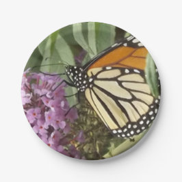 Schmetterlingspapierplatte Pappteller