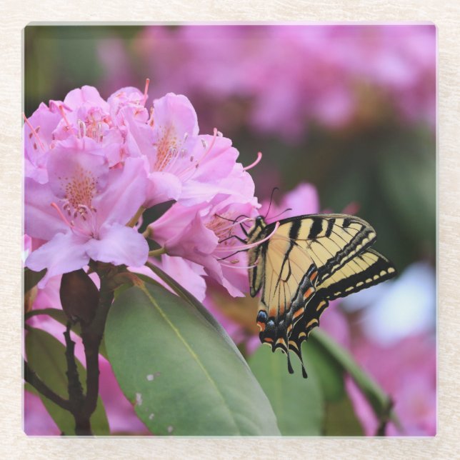 Schmetterlingsparadies Glasuntersetzer (Vorderseite)