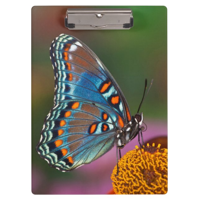 Schmetterlingsprofil auf einer Blume Klemmbrett (Vorderseite)