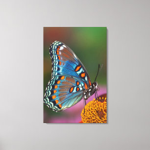 Schmetterlingsprofil auf einer Blume Leinwanddruck
