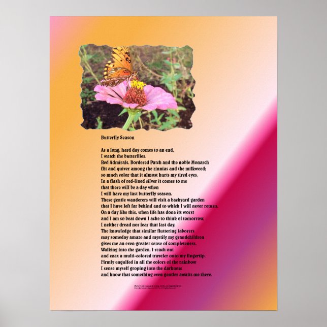 Schmetterlingssaison - Wüste Poster (Vorne)