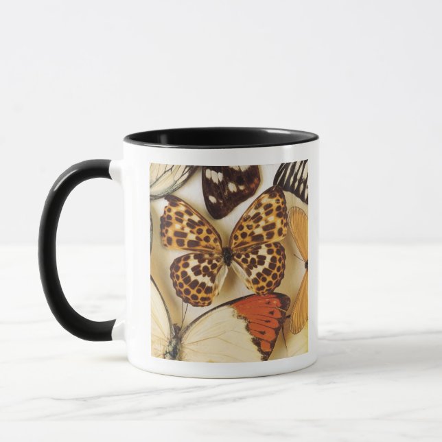 Schmetterlingssammlung Tasse (Links)
