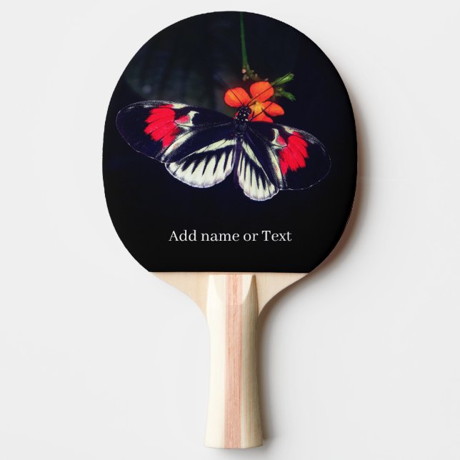Schmetterlingssport Tischtennis Schläger (Vorderseite)